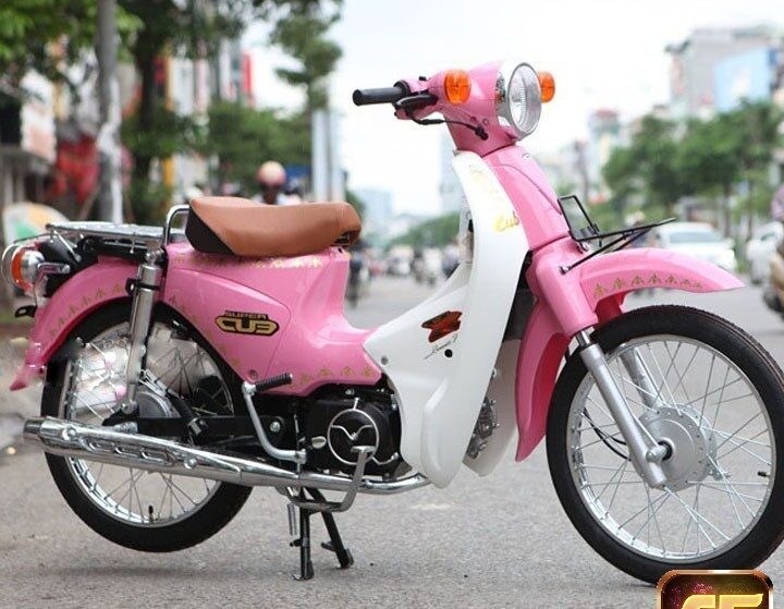 Xe cub hồng phiên bản mộng mơ, cuốn hút giới trẻ 2022