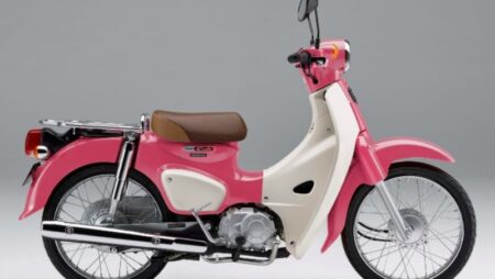Cub hồng – 3 mẫu cub siêu nữ tính dành cho chị em
