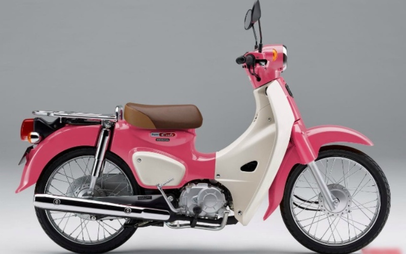Cub hồng – 3 mẫu cub siêu nữ tính dành cho chị em
