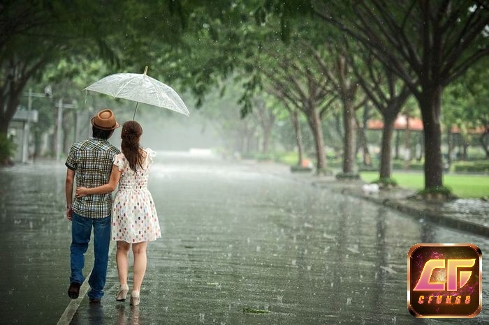 Hình dung rõ chi tiết mơ để phân tích đúng nhất 