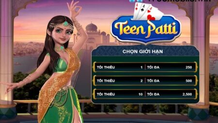 Thuật ngữ bài teen patti: Từ vựng cơ bản đến nâng cao chi tiết