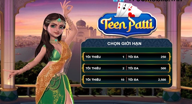 Thuật ngữ bài teen patti: Từ vựng cơ bản đến nâng cao chi tiết