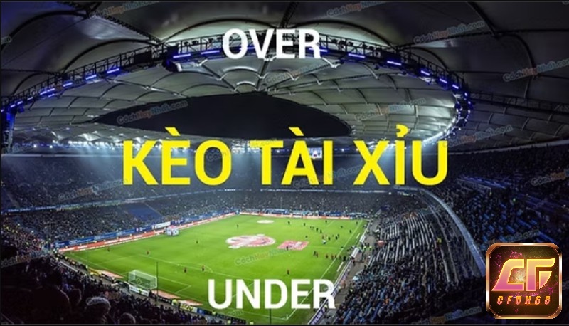 Chờ kết thúc hiệp 1 để có dữ liệu chính xác là chiến lược của người chơi thông minh