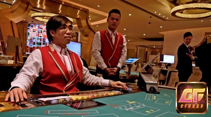Giải đáp thông tin về cờ bạc hợp pháp tại macau cho người chơi: Lưu ý về pháp lý, quy định, điều khoản
