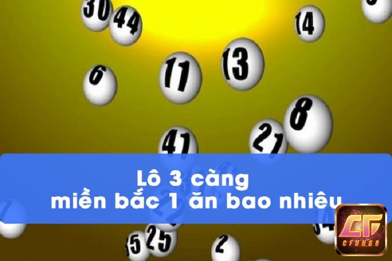 Thị trường lô 3 càng tại miền Bắc có tỷ lệ trả thưởng cao và nhiều cơ hội trúng.