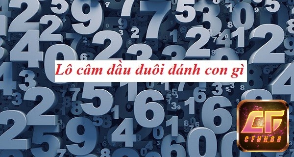 Phương pháp soi lô câm hôm sau đánh con gì dựa vào thống kê tần suất xuất hiện áp dụng khá phổ biến
