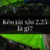 Tài xỉu 2.25 là gì? Bí quyết chơi tài xỉu 2.25 hiệu quả