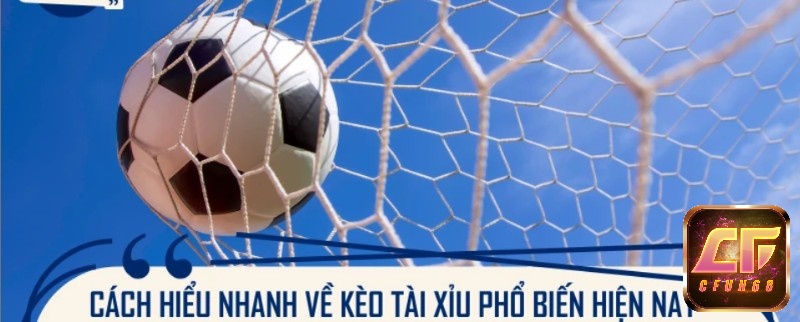 Kèo tài xỉu (Over/Under) là cược tổng bàn, tập trung dự đoán cao hay thấp so với mốc nhà cái