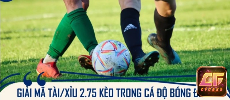 Các trường hợp kèo 2.75: tổng<2, =2, =3, >3, hướng dẫn xử lý cược tài hoặc xỉu tương ứng”><figcaption><i>Các trường hợp kèo 2.75: tổng<2, =2, =3, >3, hướng dẫn xử lý cược tài hoặc xỉu tương ứng</i></figcaption></figure>
<p>Khi đặt cược tài xỉu 2.75 là gì, kết quả cuối cùng sẽ được xác định dựa trên tổng số bàn thắng thực tế của trận đấu.</p>
<ul>
<li><strong>Trường hợp 1: Tổng số bàn thắng NHỎ HƠN 2 (ví dụ: 0, 1 bàn)</strong></li>
<li>Nếu bạn chọn <strong>Tài</strong>: Bạn sẽ thua đủ số tiền đã đặt cược.</li>
<li>Nếu bạn chọn <strong>Xỉu</strong>: Bạn sẽ thắng đủ số tiền đã đặt cược.</li>
<li>Giải thích: Cả nửa tiền cược cho kèo 2.5 và nửa tiền cược cho kèo 3.0 đều thua (nếu chọn Tài) hoặc thắng (nếu chọn Xỉu).</li>
<li><strong>Trường hợp 2: Tổng số bàn thắng BẰNG 2 (ví dụ: tỉ số 1-1, 2-0)</strong></li>
<li>Nếu bạn chọn <strong>Tài</strong>: Bạn sẽ thua nửa số tiền đã đặt cược.</li>
<li>Nếu bạn chọn <strong>Xỉu</strong>: Bạn sẽ thắng nửa số tiền đã đặt cược.</li>
<li>Giải thích: Nửa tiền cược cho kèo 2.5 thua (nếu chọn Tài) hoặc thắng (nếu chọn Xỉu).</li>
<li><strong>Trường hợp 3: Tổng số bàn thắng BẰNG 3 (ví dụ: tỉ số 2-1, 3-0)</strong></li>
<li>Nếu bạn chọn <strong>Tài</strong>: Bạn sẽ thắng nửa số tiền đã đặt cược.</li>
<li>Nếu bạn chọn <strong>Xỉu</strong>: Bạn sẽ thua nửa số tiền đã đặt cược.</li>
<li>Giải thích: Nửa tiền cược cho kèo 2.5 thì thắng (nếu chọn Tài) hoặc thua (nếu chọn Xỉu).</li>
<li><strong>Trường hợp 4: Tổng số bàn thắng LỚN HƠN 3 (ví dụ: 4, 5 bàn trở lên)</strong></li>
<li>Nếu bạn chọn <strong>Tài</strong>: Bạn sẽ thắng đủ số tiền đã đặt cược.</li>
<li>Nếu bạn chọn <strong>Xỉu</strong>: Bạn sẽ thua đủ số tiền đã đặt cược.</li>
<li>Giải thích: Cả nửa tiền cược cho kèo 2.5 và nửa tiền cược cho kèo 3.0 đều thắng (nếu chọn Tài) hoặc thua (nếu chọn Xỉu).</li>
</ul>
<h3 id=