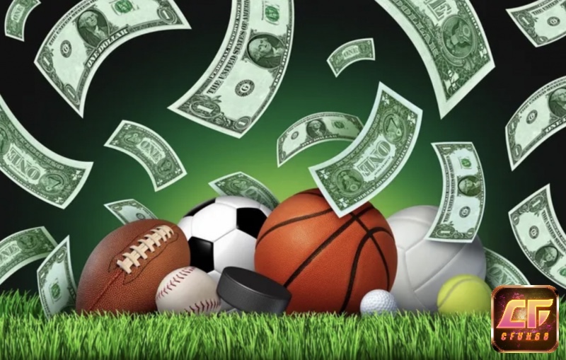 Người chơi thể thao ảo có thể đặt nhiều loại cược, nhưng các nền tảng tại Việt Nam chủ yếu là nhà cái quốc tế không phép, tiềm ẩn rủi ro