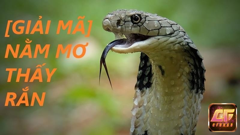 Các con số giải mã tương ứng trong mơ