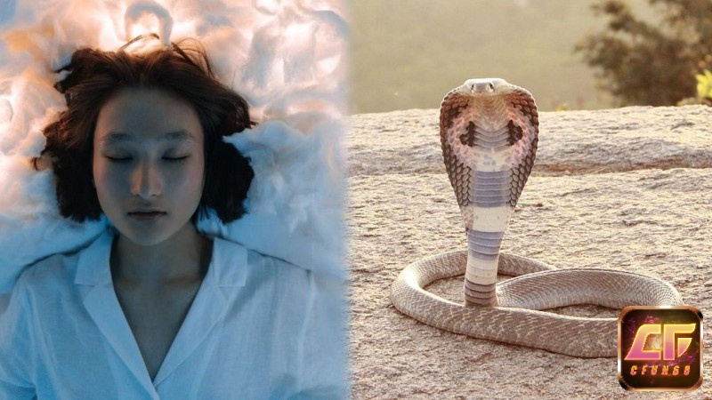 Các cách giải mã giấc mơ chi tiết nhất