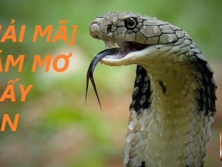 Mơ thấy rắn đánh con gì? Giải mã giấc mơ và con số may mắn