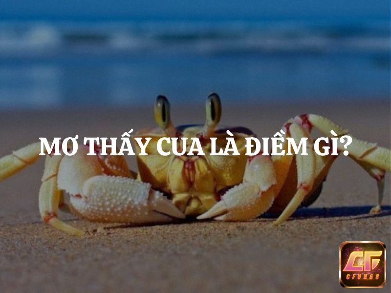 Mơ thấy cua giúp gia chủ tiên đoán diễn biến tương lai