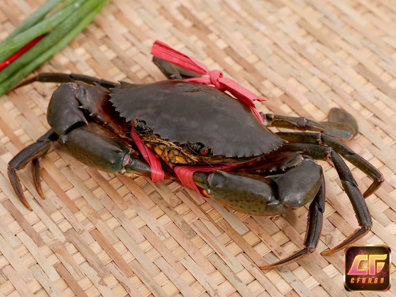 Mơ thấy cua đánh con gì dựa theo từng chi tiết trong mơ