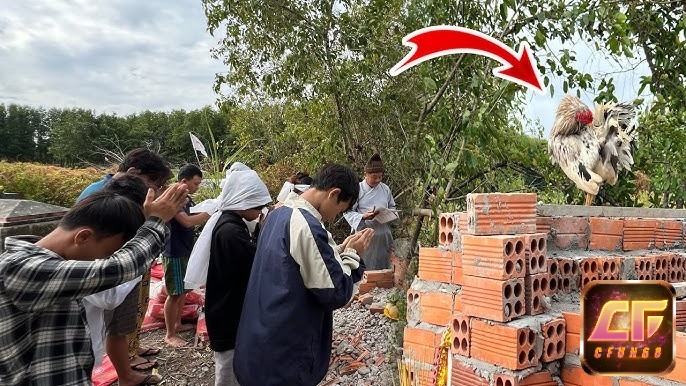 Mơ thấy nấm mồ mở cửa là điềm báo về những sự thật đang dần hé mở