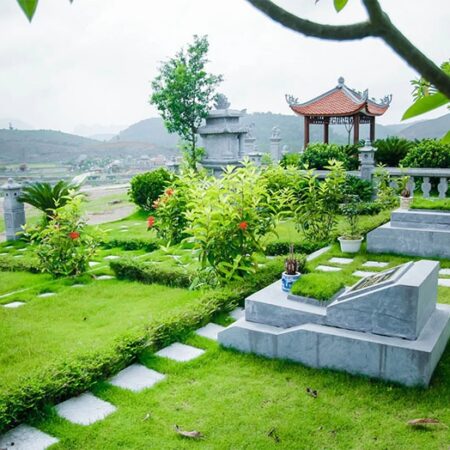 Mo thấy nấm mồ đánh lô đề con gì? Điềm báo lành hay dữ?